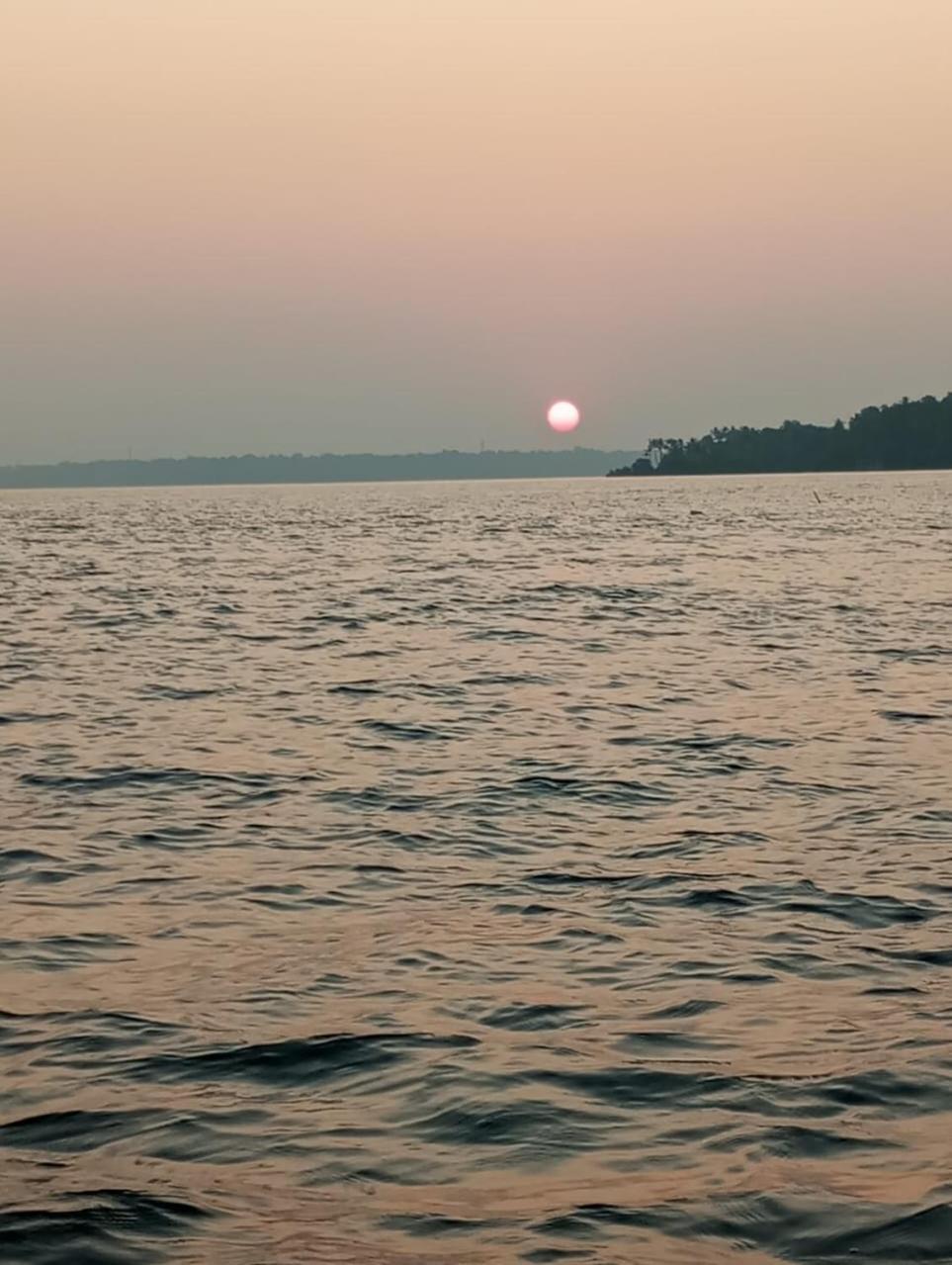 Munroe Vision Panakkattu *
